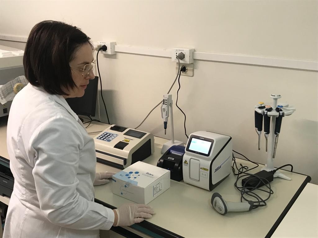 Conte&uacute;do do artigo