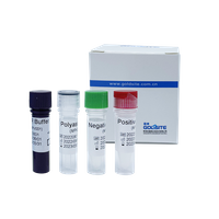 Monkeypox Virus(MPXV) PCR Kit