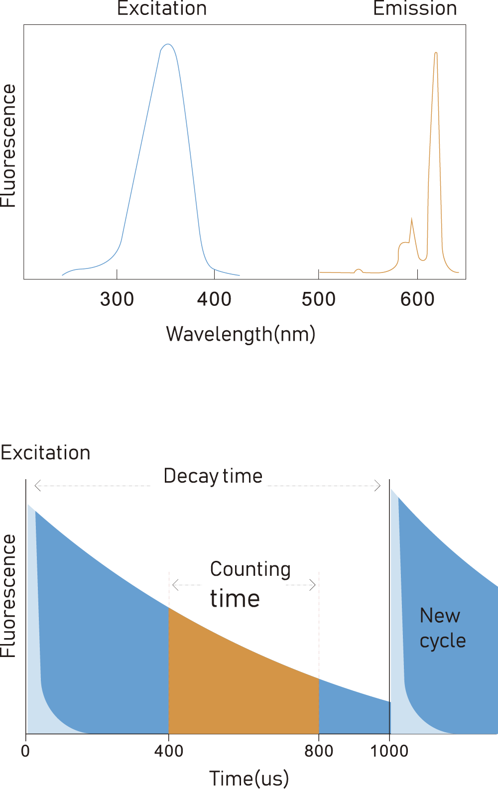 Principle of time-resolved fluorescence technique- Princípio da técnica de fluorescência resolvida no tempo -