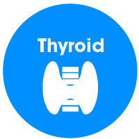 thyro&iuml;de